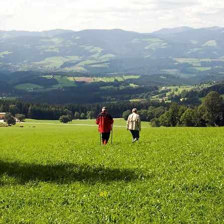 Wildwiesenhof Miesenbach  Luaran gambar