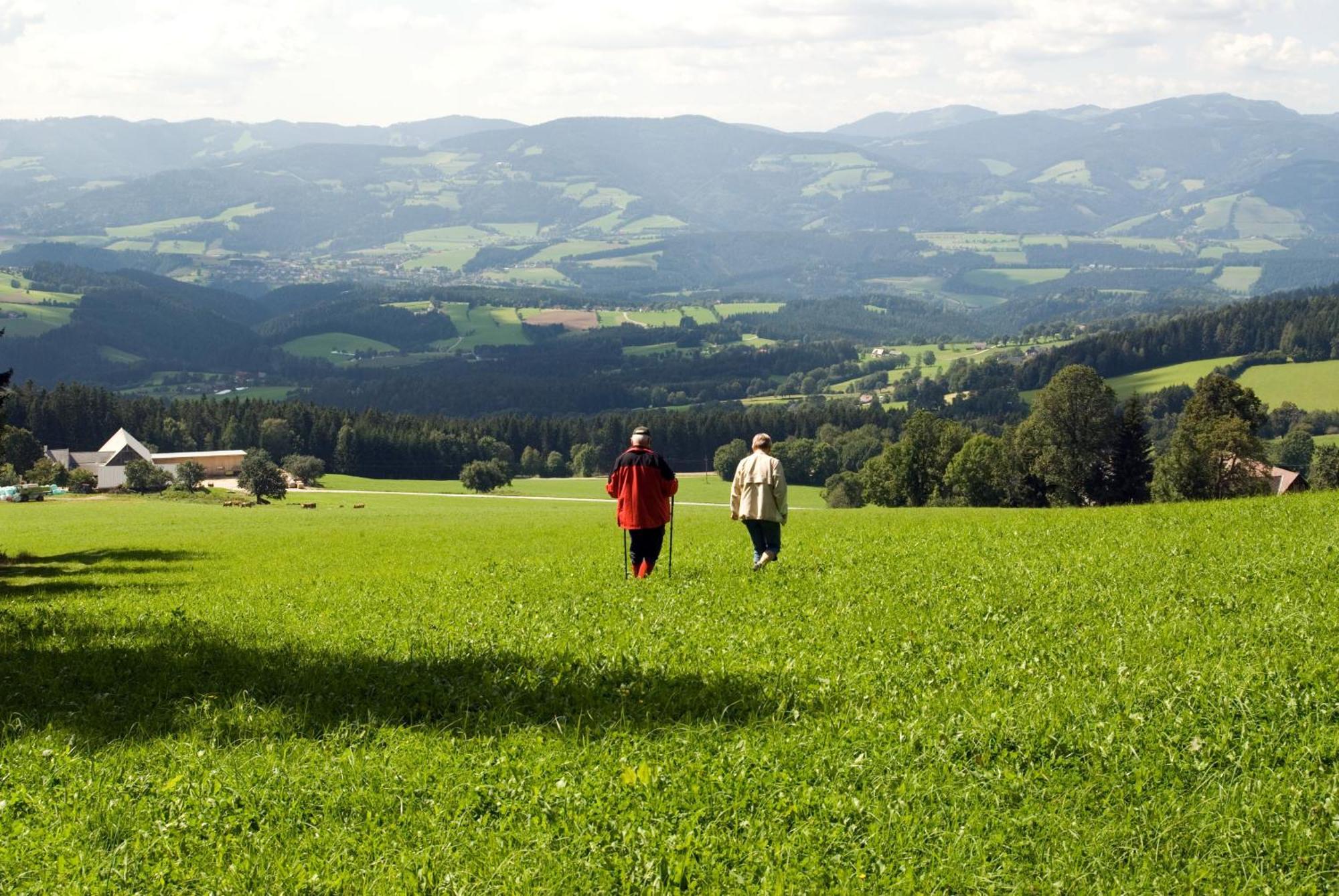 Wildwiesenhof Miesenbach  Luaran gambar