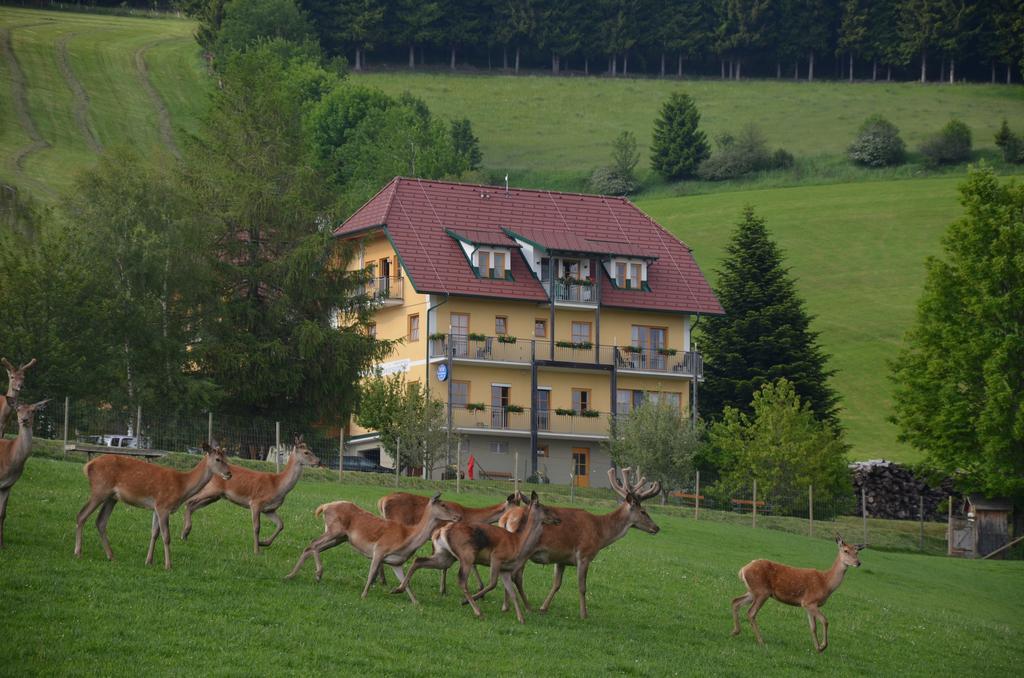Wildwiesenhof Miesenbach  Luaran gambar