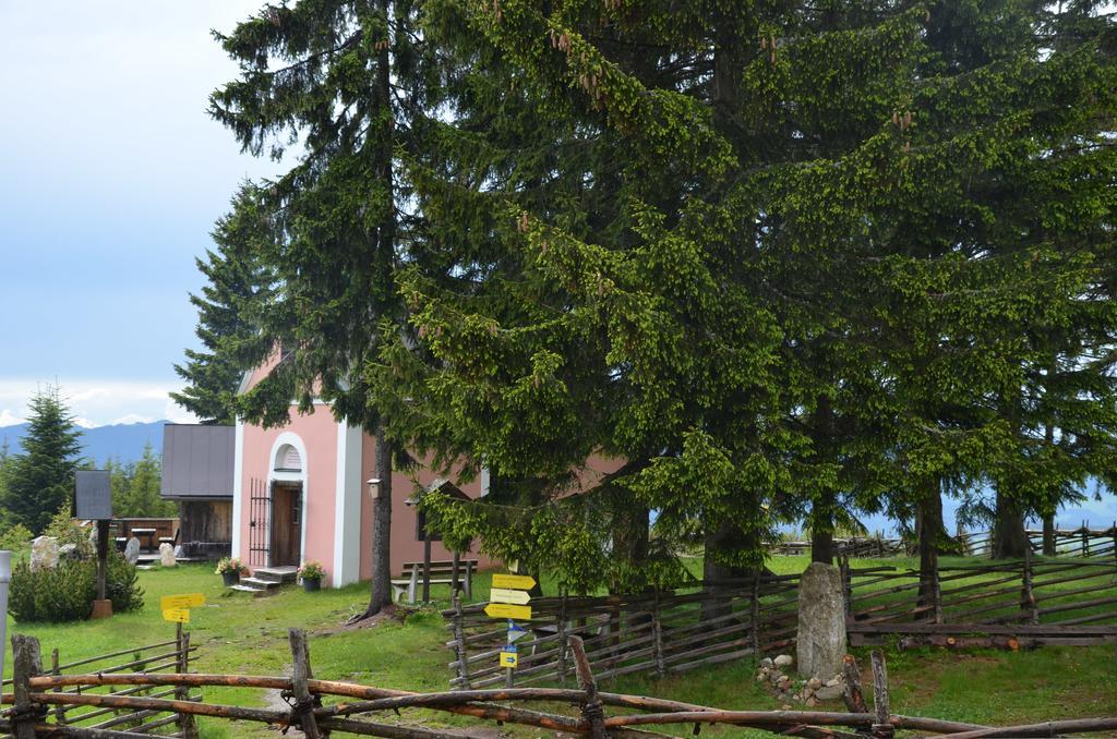 Wildwiesenhof Miesenbach  Luaran gambar